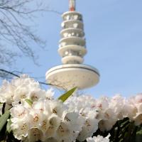 1610_5731 Frühlingsblüten in Planten un Blomen, Telemichel. | Bilder vom Fruehling in Hamburg; Vol. 1